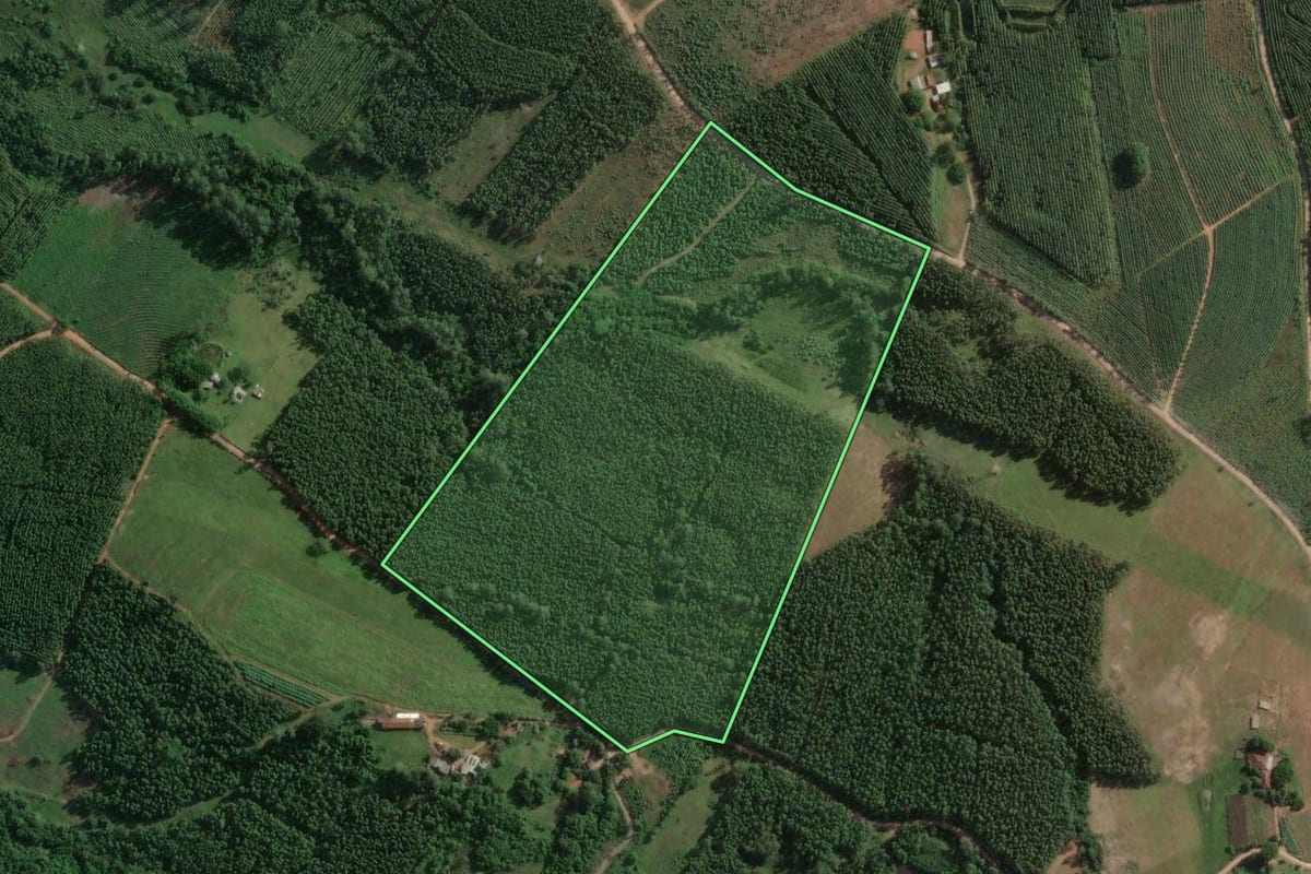 Imagem de satélite do imóvel rural em Taquari (RS), com o contorno declarado no CAR desenhado por cima.