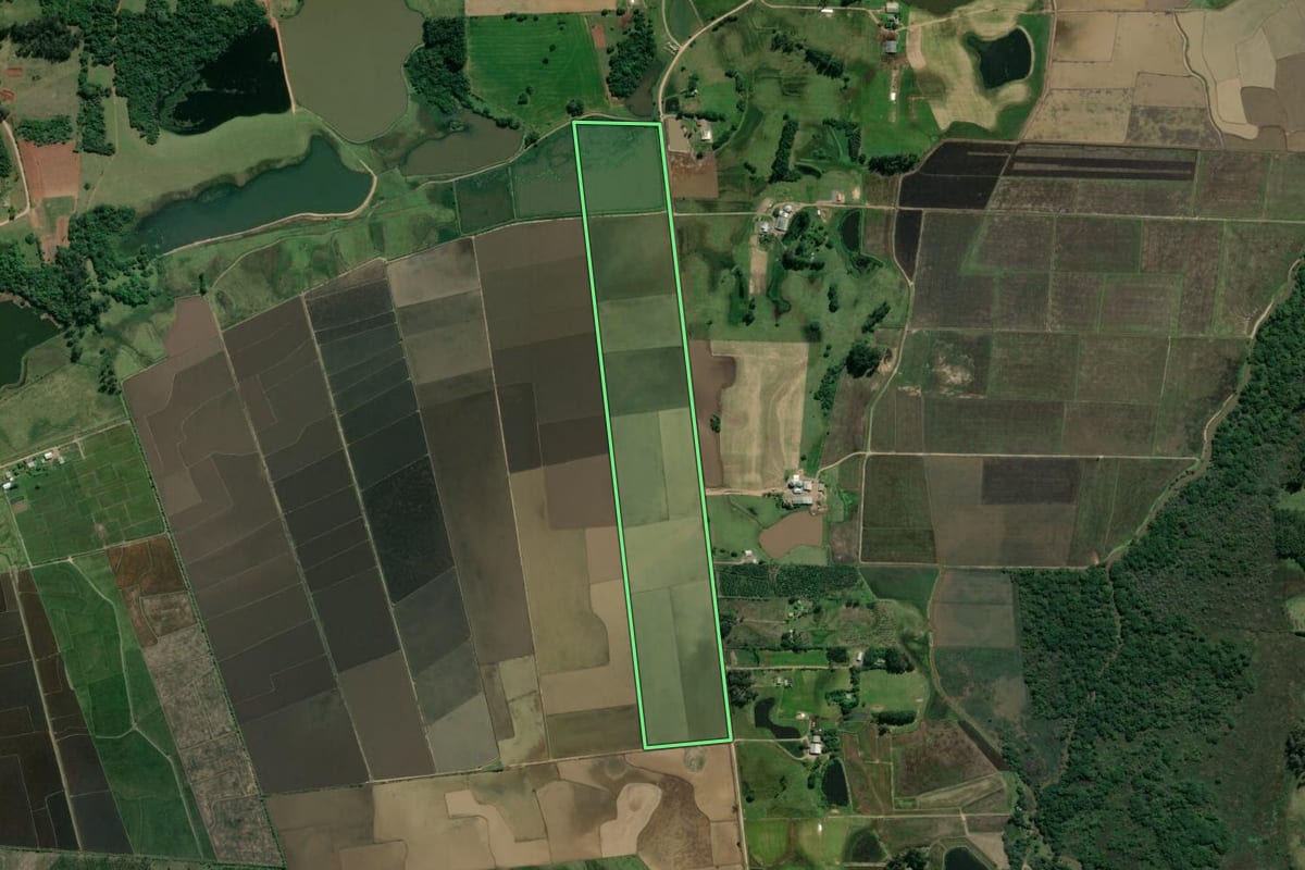 Imagem de satélite do imóvel rural em Taquari (RS), com o contorno declarado no CAR desenhado por cima.