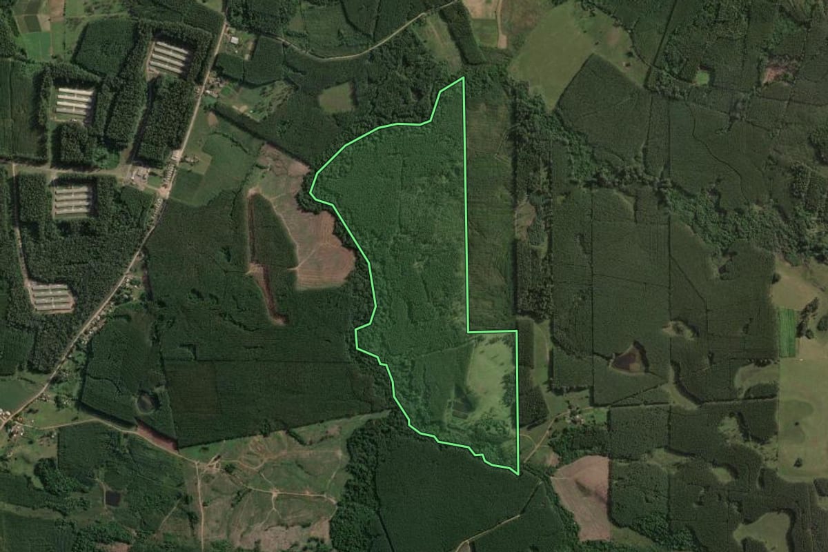 Imagem de satélite do imóvel rural em Taquari (RS), com o contorno declarado no CAR desenhado por cima.