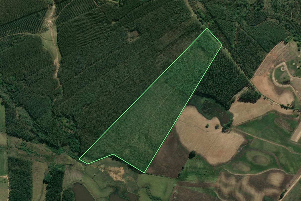 Imagem de satélite do imóvel rural em Taquari (RS), com o contorno declarado no CAR desenhado por cima.