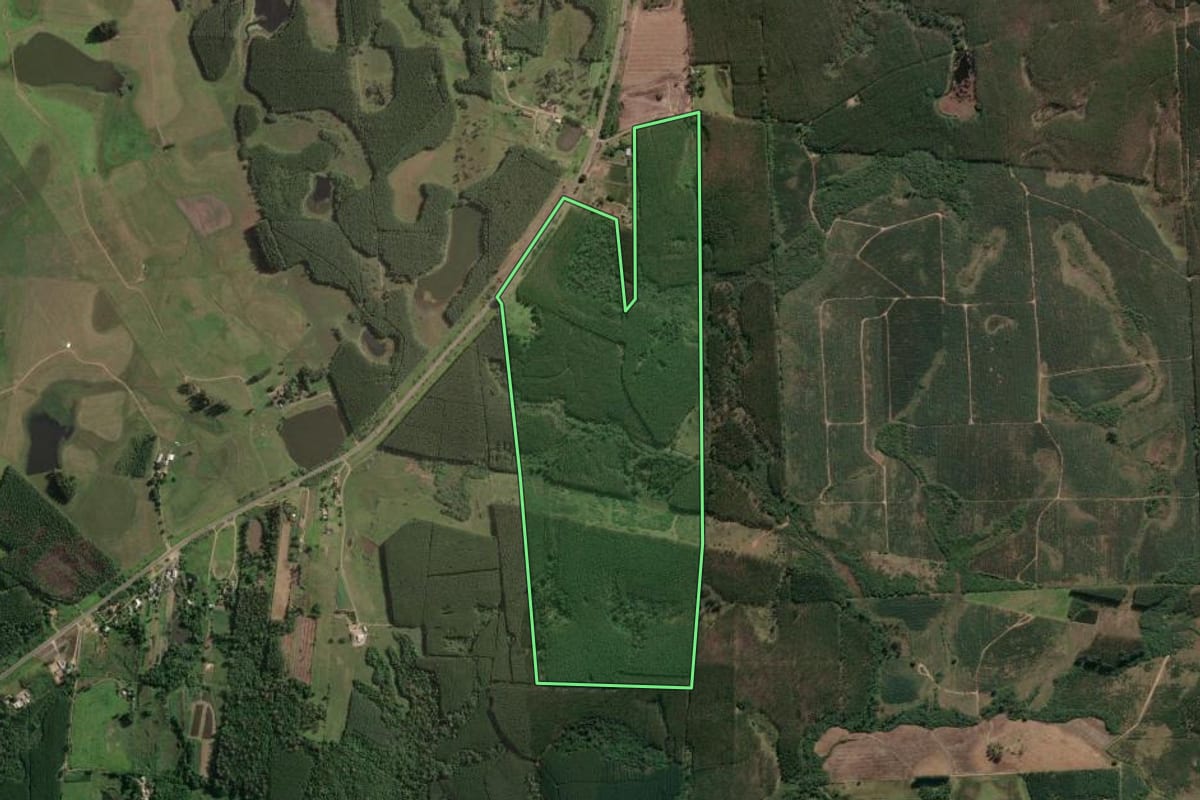 Imagem de satélite do imóvel rural em Taquari (RS), com o contorno declarado no CAR desenhado por cima.