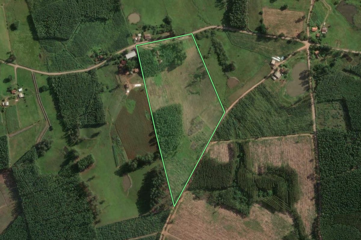 Imagem de satélite do imóvel rural em Taquari (RS), com o contorno declarado no CAR desenhado por cima.