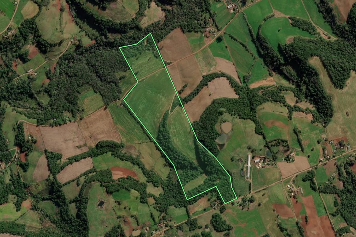 Imagem de satélite do imóvel rural em Taquaruçu do Sul (RS), com o contorno declarado no CAR desenhado por cima.