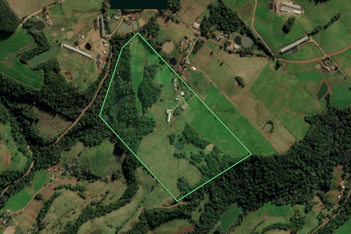 Imagem de satélite do imóvel rural em Taquaruçu do Sul (RS), com o contorno declarado no CAR desenhado por cima.