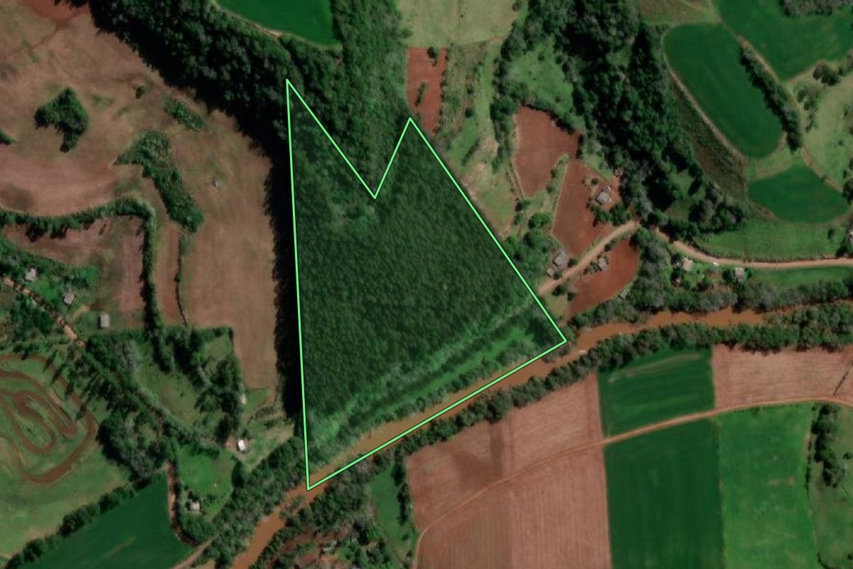 Imagem de satélite do imóvel rural em Taquaruçu do Sul (RS), com o contorno declarado no CAR desenhado por cima.