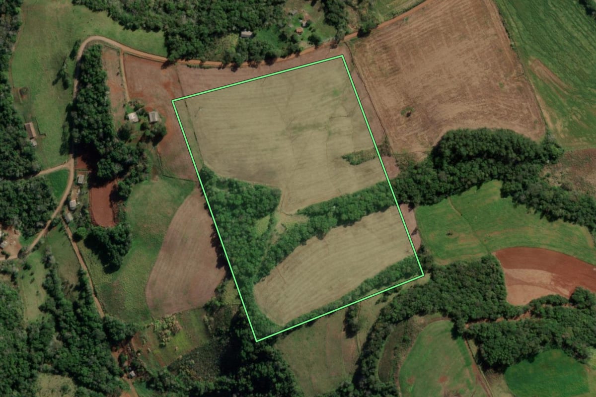 Imagem de satélite do imóvel rural em Taquaruçu do Sul (RS), com o contorno declarado no CAR desenhado por cima.