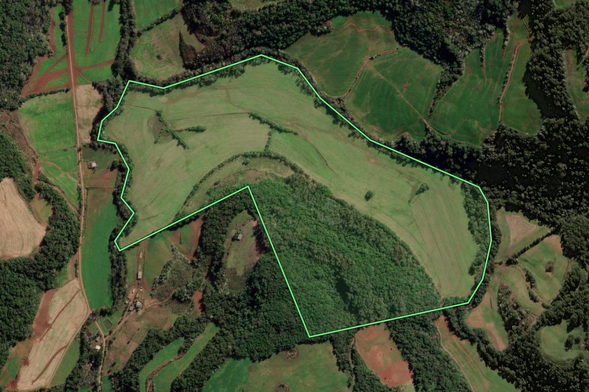 Imagem de satélite do imóvel rural em Taquaruçu do Sul (RS), com o contorno declarado no CAR desenhado por cima.