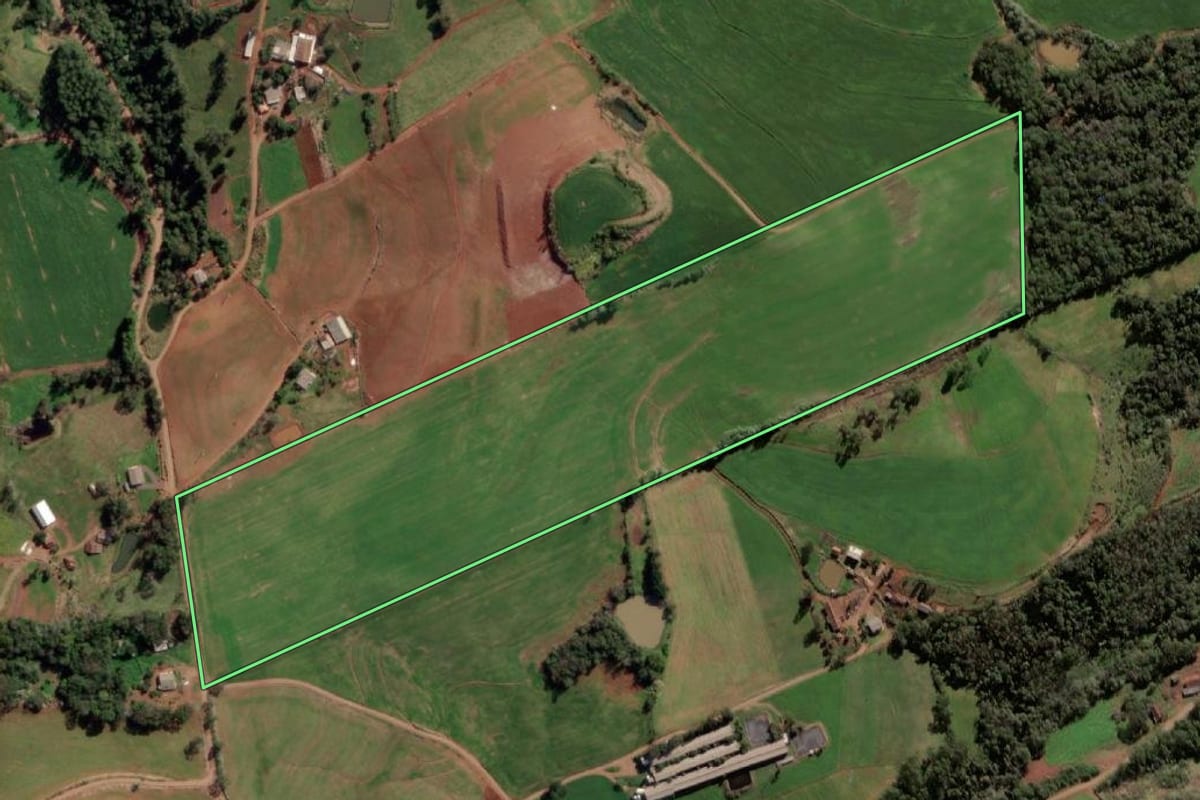 Imagem de satélite do imóvel rural em Taquaruçu do Sul (RS), com o contorno declarado no CAR desenhado por cima.
