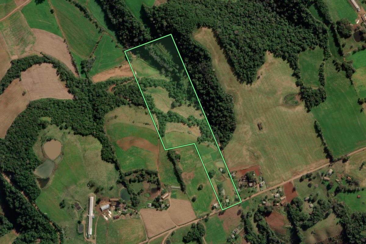 Imagem de satélite do imóvel rural em Taquaruçu do Sul (RS), com o contorno declarado no CAR desenhado por cima.