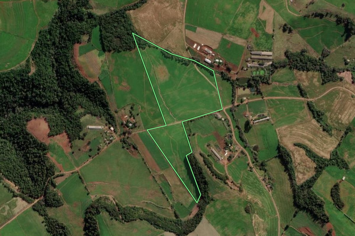 Imagem de satélite do imóvel rural em Taquaruçu do Sul (RS), com o contorno declarado no CAR desenhado por cima.