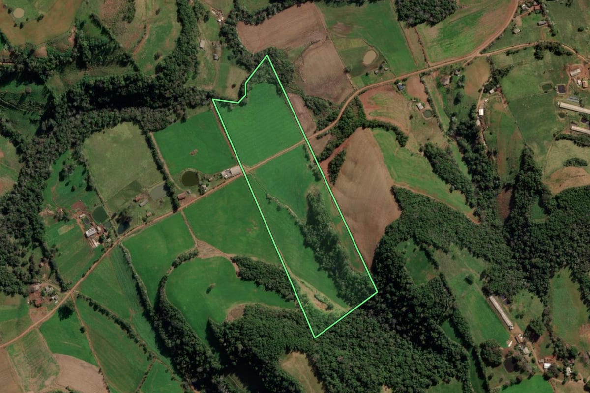 Imagem de satélite do imóvel rural em Taquaruçu do Sul (RS), com o contorno declarado no CAR desenhado por cima.