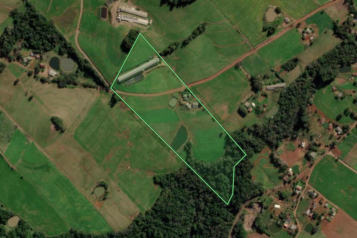 Imagem de satélite do imóvel rural em Taquaruçu do Sul (RS), com o contorno declarado no CAR desenhado por cima.