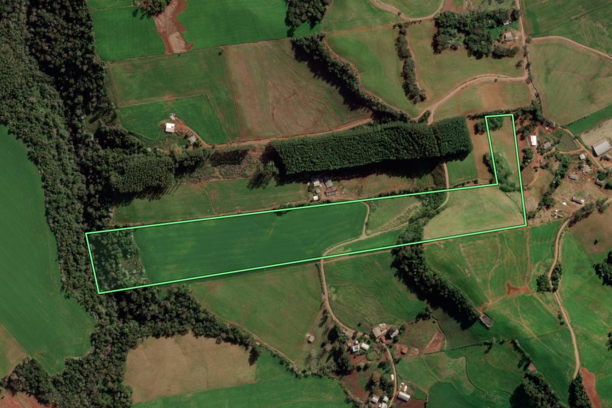 Imagem de satélite do imóvel rural em Taquaruçu do Sul (RS), com o contorno declarado no CAR desenhado por cima.
