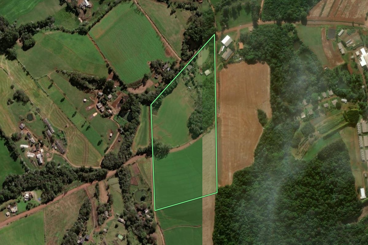 Imagem de satélite do imóvel rural em Taquaruçu do Sul (RS), com o contorno declarado no CAR desenhado por cima.