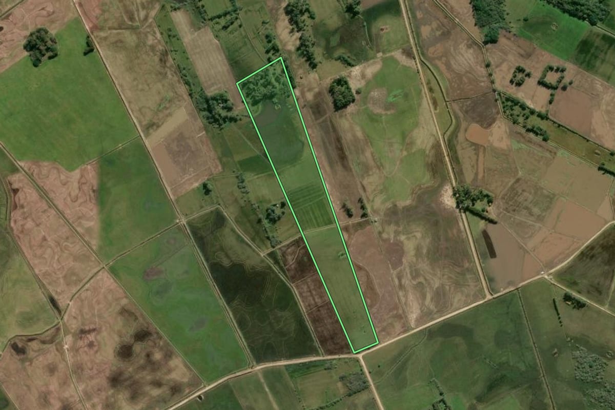 Imagem de satélite do imóvel rural em Tavares (RS), com o contorno declarado no CAR desenhado por cima.
