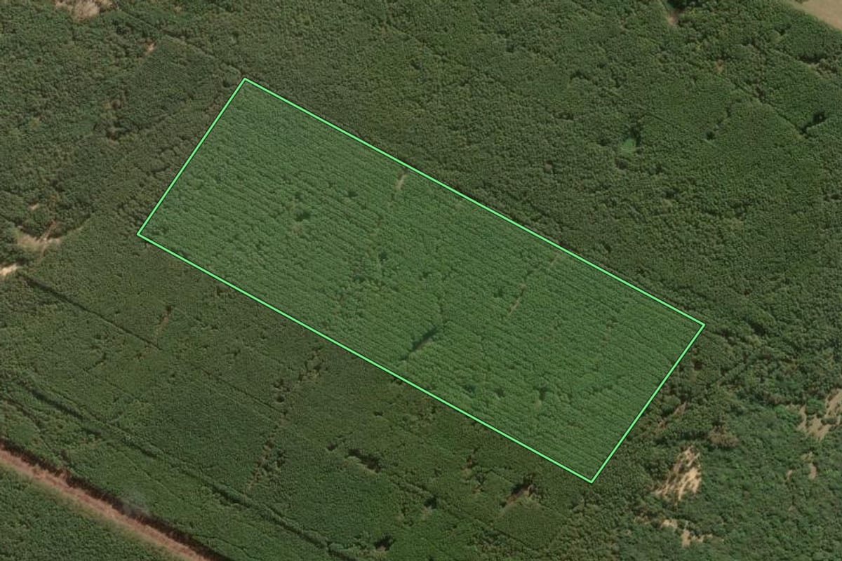 Imagem de satélite do imóvel rural em Tavares (RS), com o contorno declarado no CAR desenhado por cima.