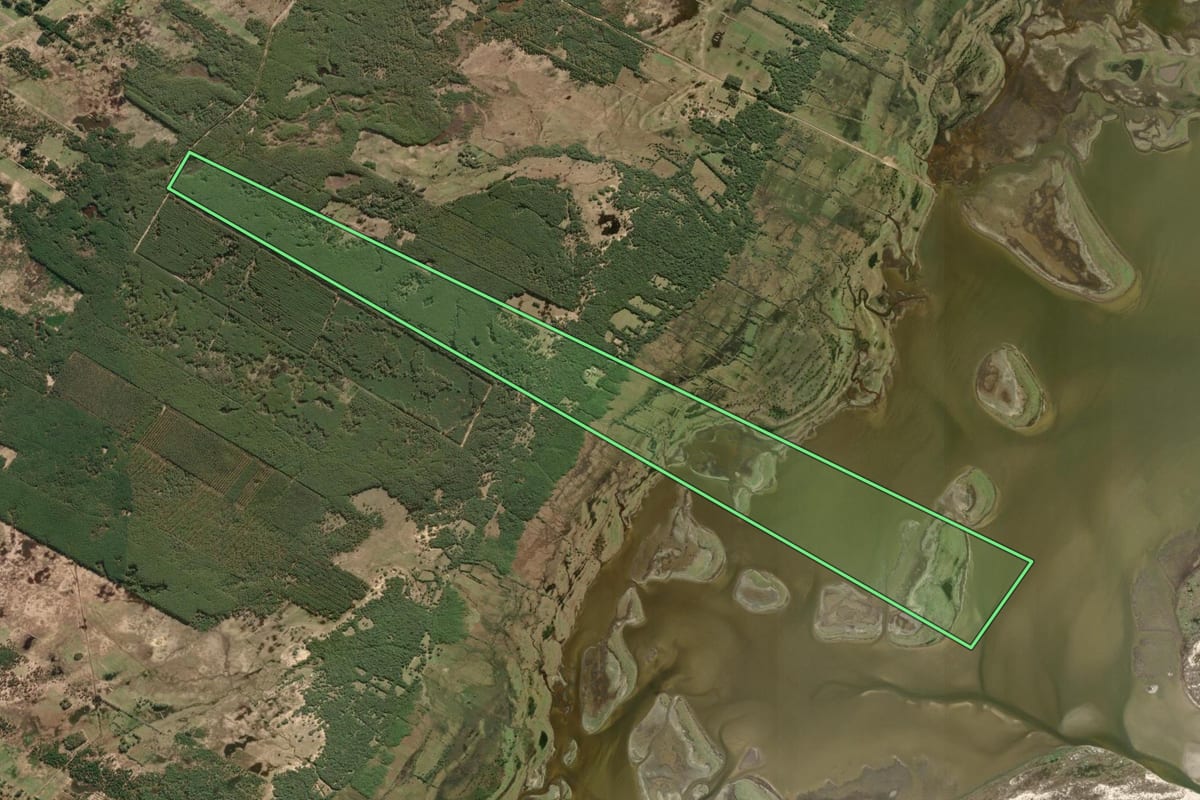 Imagem de satélite do imóvel rural em Tavares (RS), com o contorno declarado no CAR desenhado por cima.