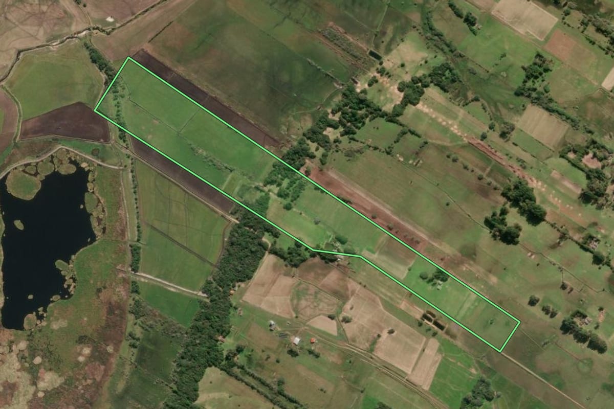 Imagem de satélite do imóvel rural em Tavares (RS), com o contorno declarado no CAR desenhado por cima.