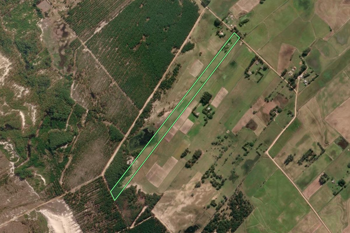 Imagem de satélite do imóvel rural em Tavares (RS), com o contorno declarado no CAR desenhado por cima.