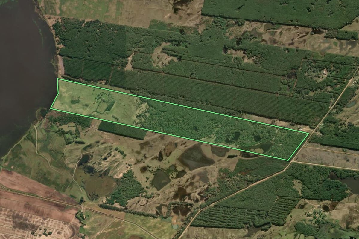 Imagem de satélite do imóvel rural em Tavares (RS), com o contorno declarado no CAR desenhado por cima.