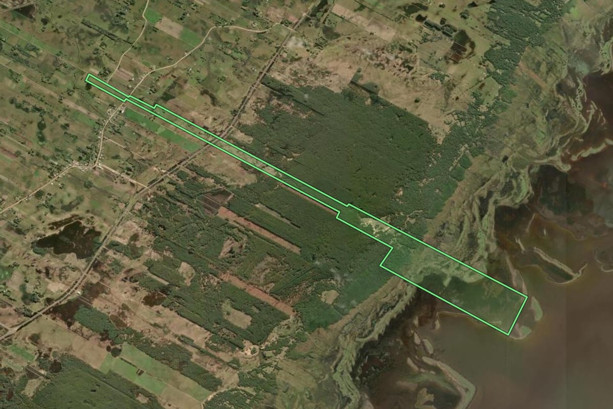 Imagem de satélite do imóvel rural em Tavares (RS), com o contorno declarado no CAR desenhado por cima.