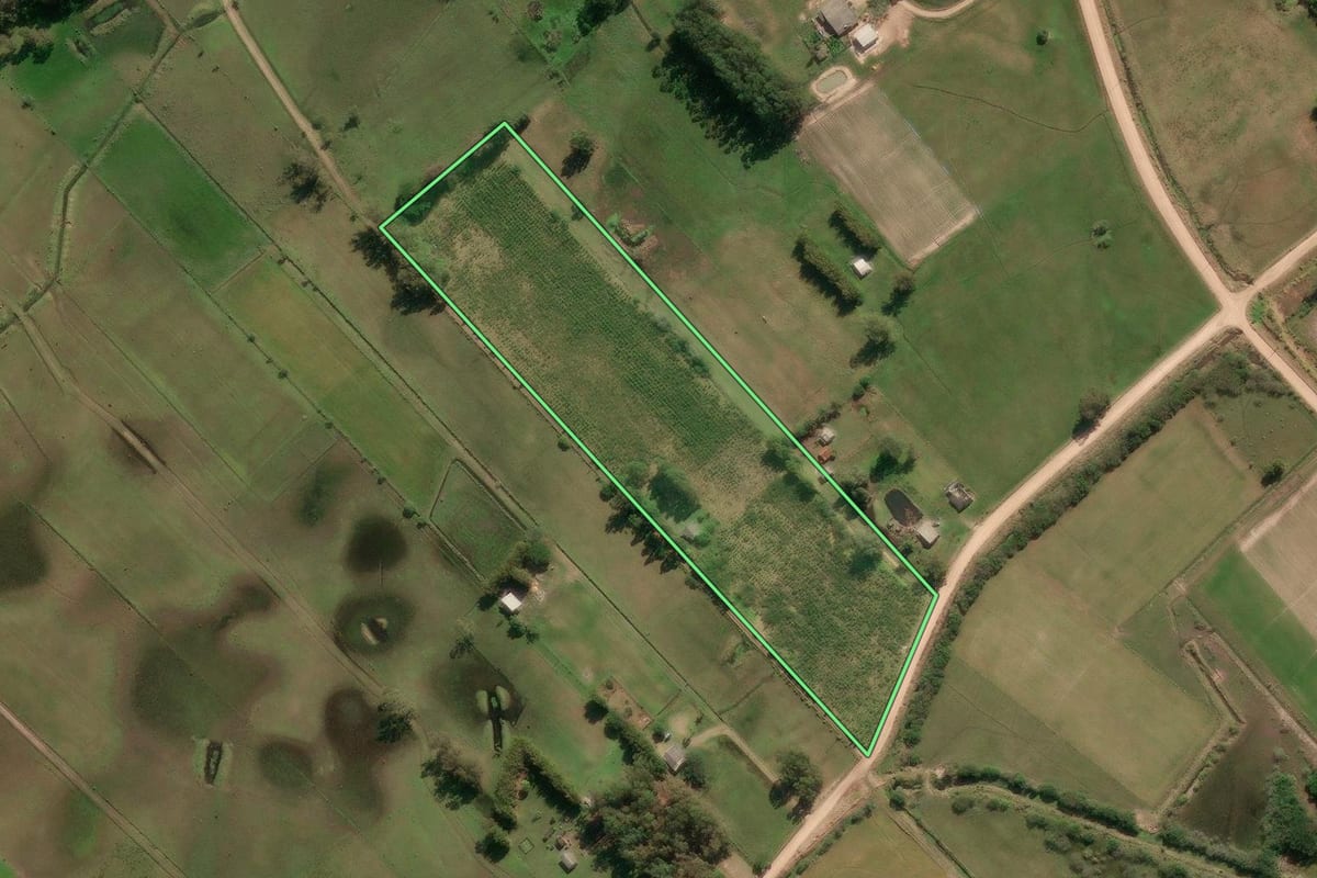 Imagem de satélite do imóvel rural em Tavares (RS), com o contorno declarado no CAR desenhado por cima.