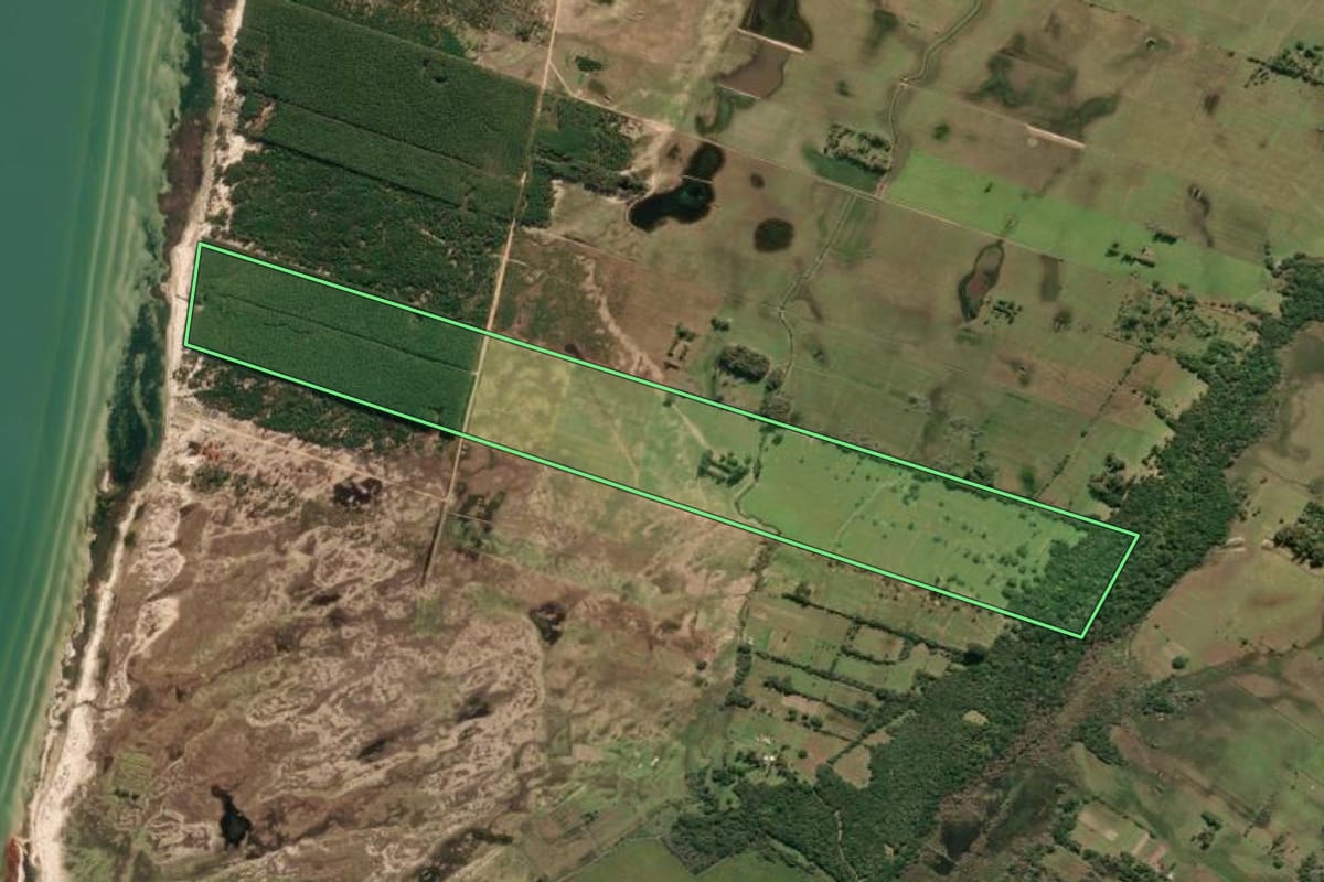 Imagem de satélite do imóvel rural em Tavares (RS), com o contorno declarado no CAR desenhado por cima.