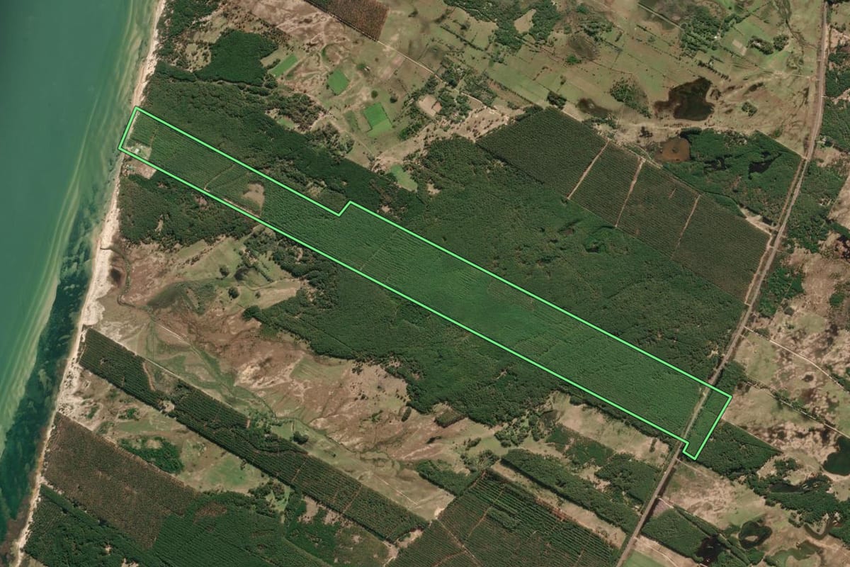 Imagem de satélite do imóvel rural em Tavares (RS), com o contorno declarado no CAR desenhado por cima.