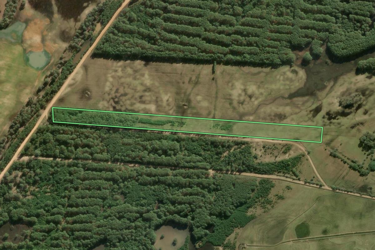Imagem de satélite do imóvel rural em Tavares (RS), com o contorno declarado no CAR desenhado por cima.