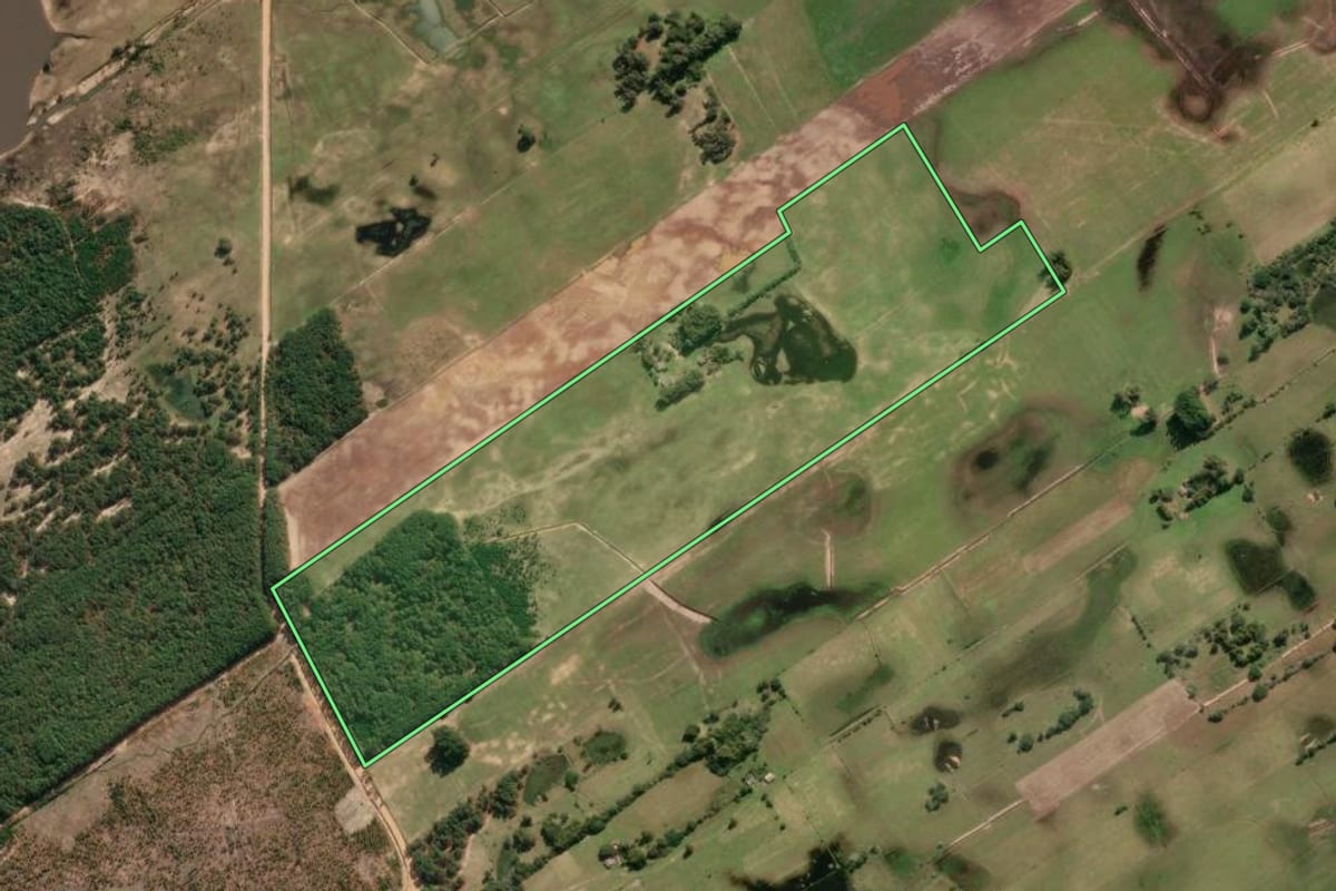 Imagem de satélite do imóvel rural em Tavares (RS), com o contorno declarado no CAR desenhado por cima.