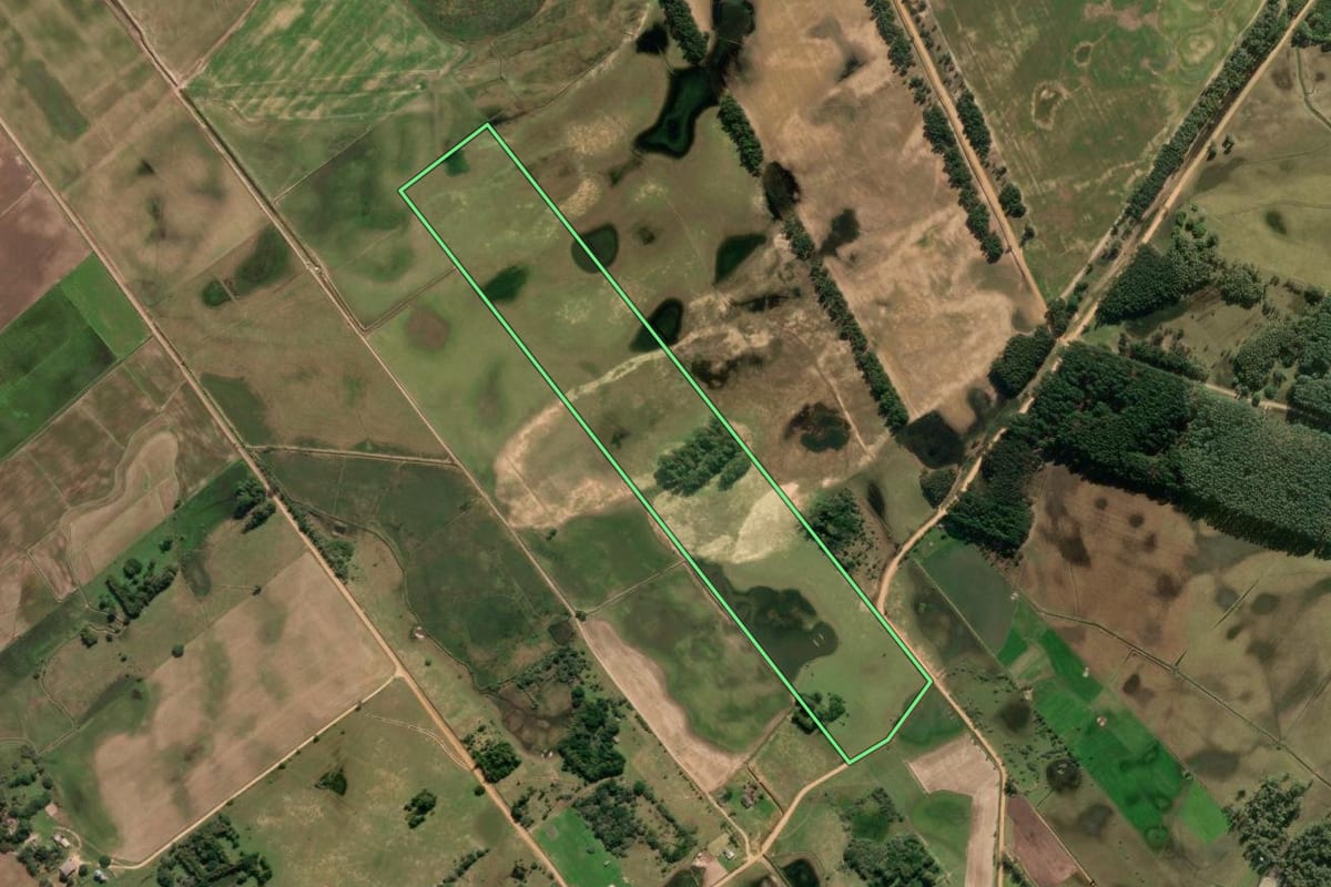 Imagem de satélite do imóvel rural em Tavares (RS), com o contorno declarado no CAR desenhado por cima.