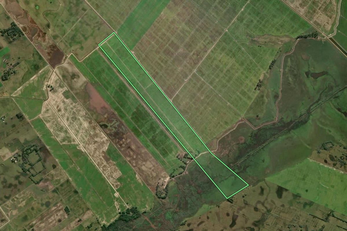 Imagem de satélite do imóvel rural em Tavares (RS), com o contorno declarado no CAR desenhado por cima.