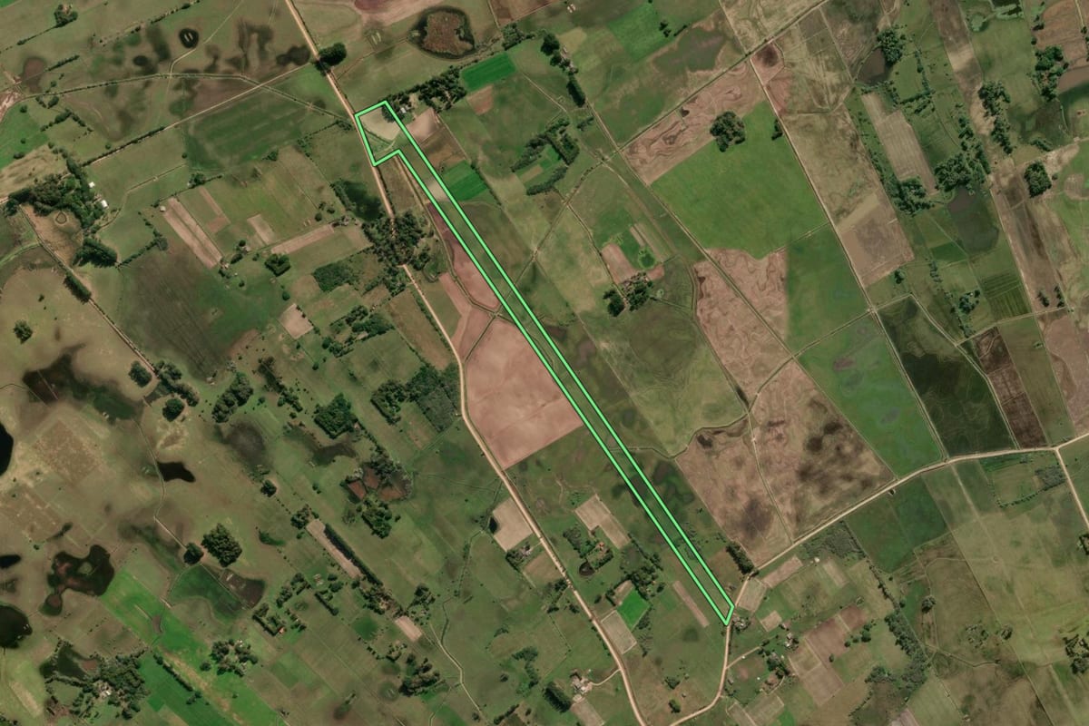 Imagem de satélite do imóvel rural em Tavares (RS), com o contorno declarado no CAR desenhado por cima.