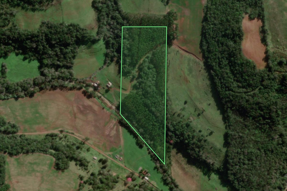 Imagem de satélite do imóvel rural em Tenente Portela (RS), com o contorno declarado no CAR desenhado por cima.