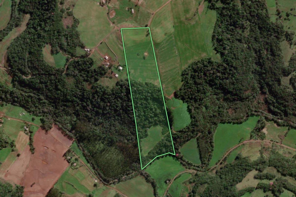 Imagem de satélite do imóvel rural em Tenente Portela (RS), com o contorno declarado no CAR desenhado por cima.