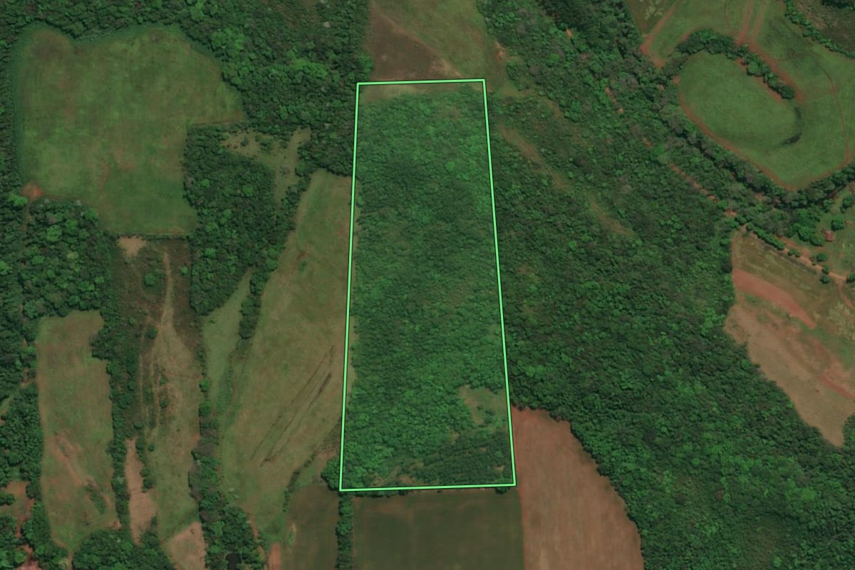 Imagem de satélite do imóvel rural em Tenente Portela (RS), com o contorno declarado no CAR desenhado por cima.