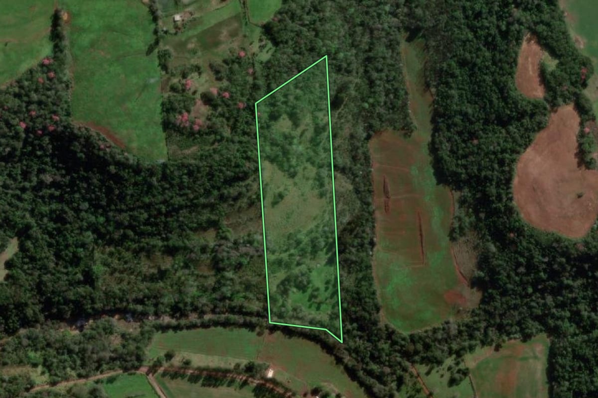 Imagem de satélite do imóvel rural em Tenente Portela (RS), com o contorno declarado no CAR desenhado por cima.