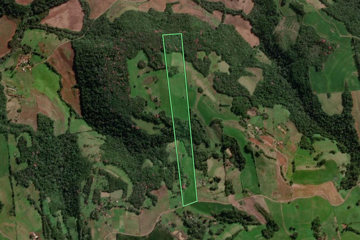 Imagem de satélite do imóvel rural em Tenente Portela (RS), com o contorno declarado no CAR desenhado por cima.