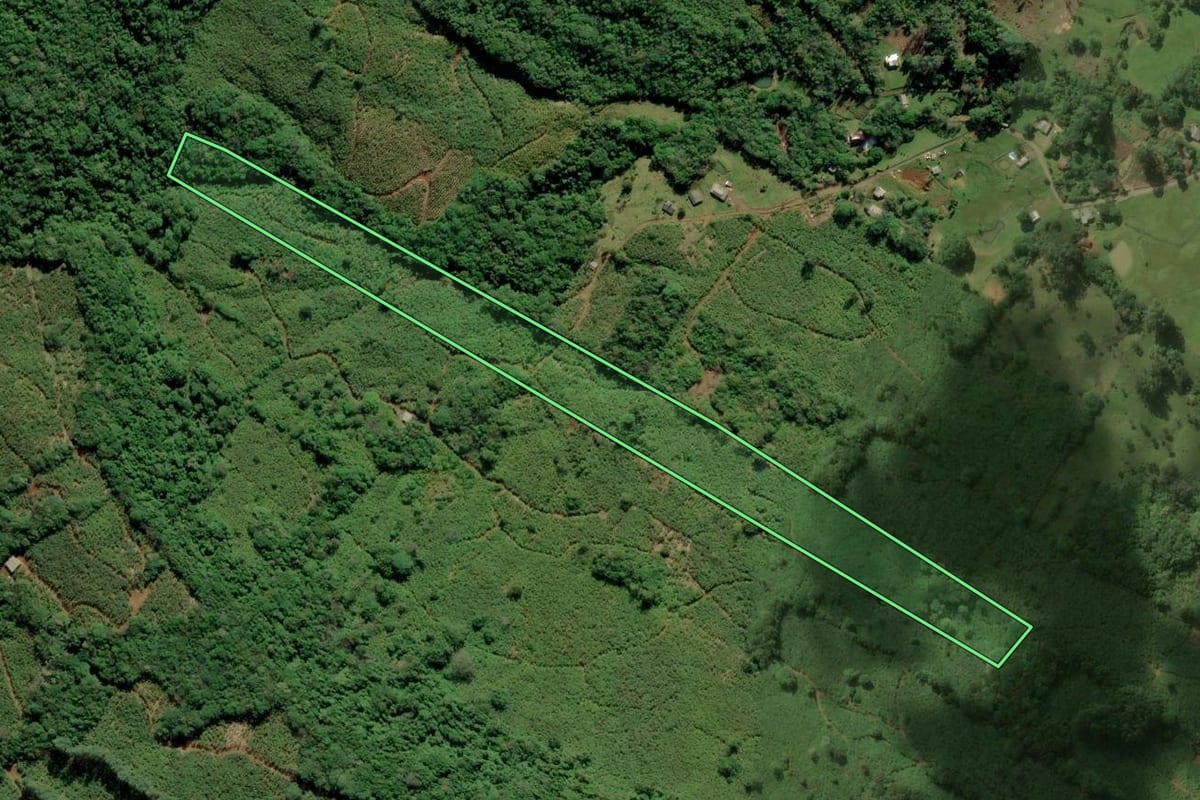 Imagem de satélite do imóvel rural em Terra de Areia (RS), com o contorno declarado no CAR desenhado por cima.