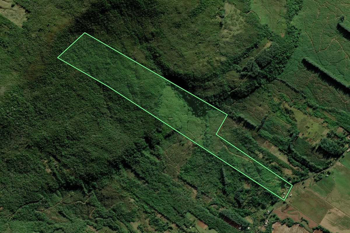 Imagem de satélite do imóvel rural em Terra de Areia (RS), com o contorno declarado no CAR desenhado por cima.