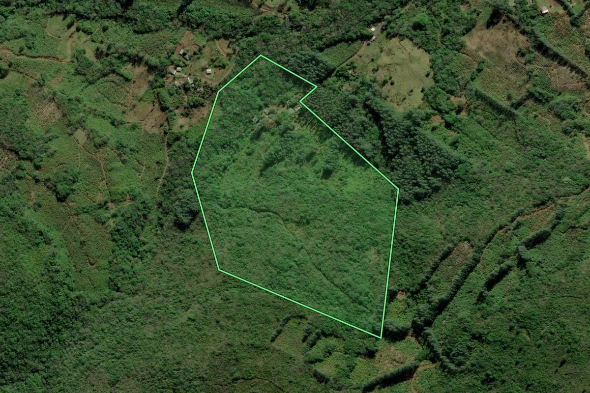 Imagem de satélite do imóvel rural em Terra de Areia (RS), com o contorno declarado no CAR desenhado por cima.