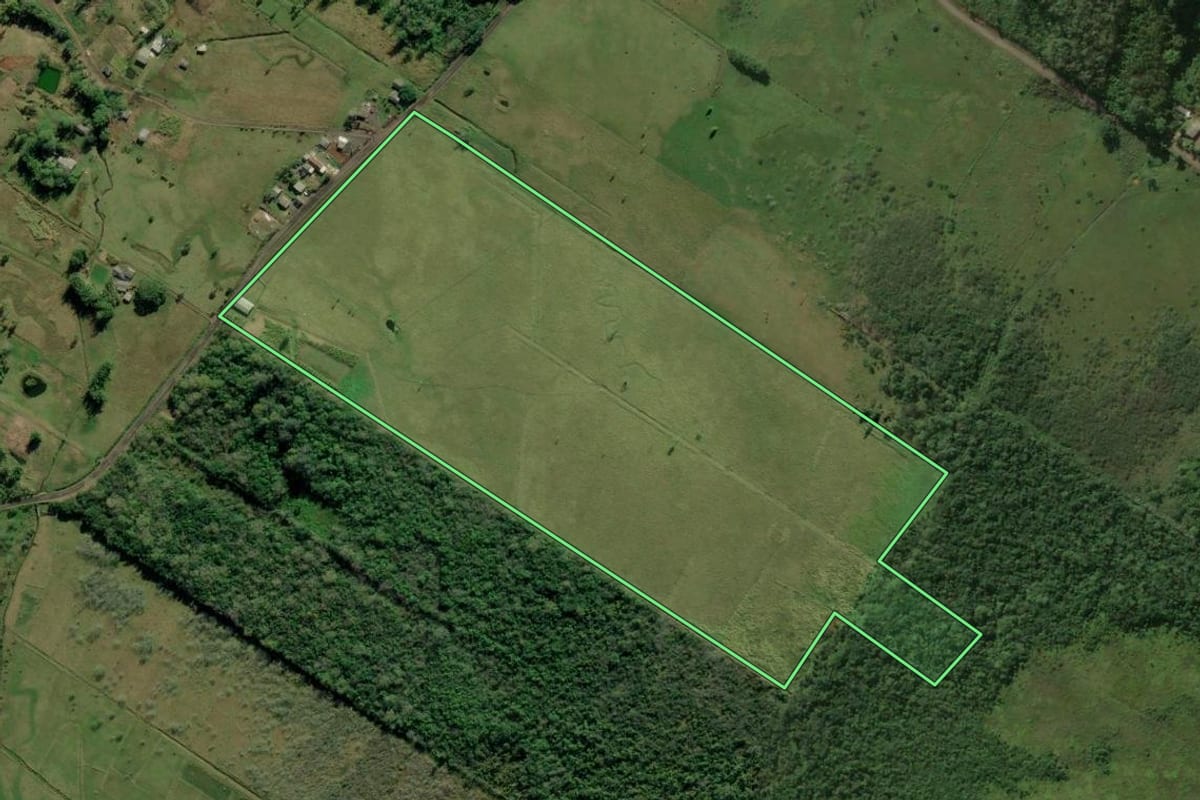 Imagem de satélite do imóvel rural em Terra de Areia (RS), com o contorno declarado no CAR desenhado por cima.