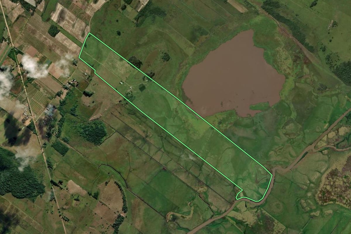 Imagem de satélite do imóvel rural em Terra de Areia (RS), com o contorno declarado no CAR desenhado por cima.