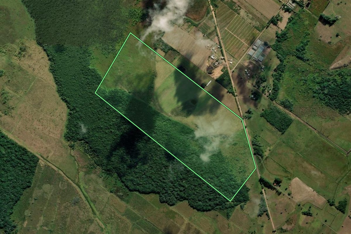 Imagem de satélite do imóvel rural em Terra de Areia (RS), com o contorno declarado no CAR desenhado por cima.