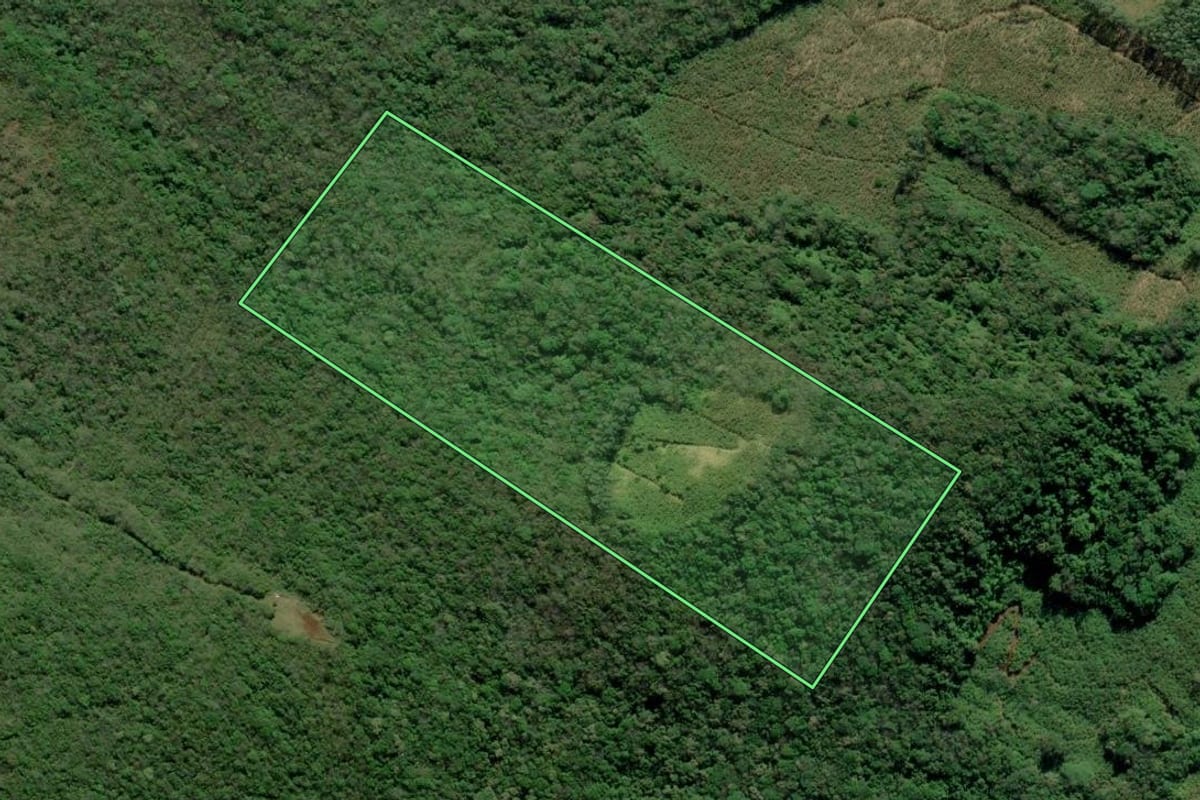 Imagem de satélite do imóvel rural em Terra de Areia (RS), com o contorno declarado no CAR desenhado por cima.
