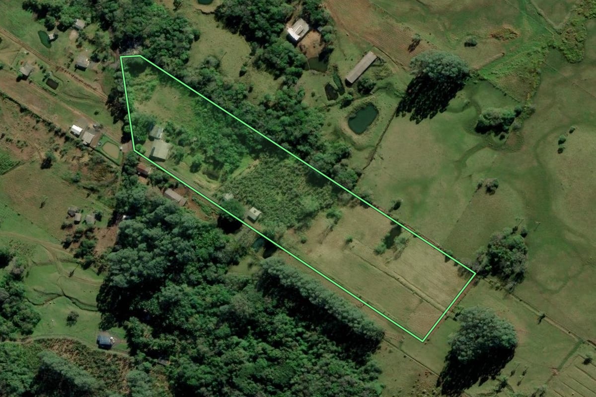 Imagem de satélite do imóvel rural em Terra de Areia (RS), com o contorno declarado no CAR desenhado por cima.