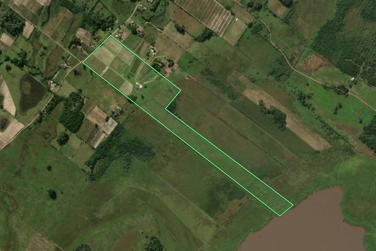 Imagem de satélite do imóvel rural em Terra de Areia (RS), com o contorno declarado no CAR desenhado por cima.