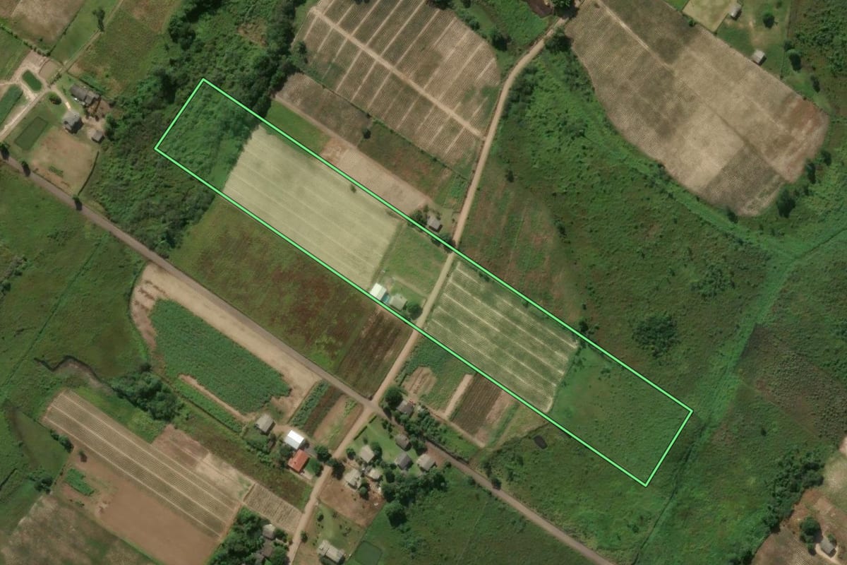 Imagem de satélite do imóvel rural em Terra de Areia (RS), com o contorno declarado no CAR desenhado por cima.