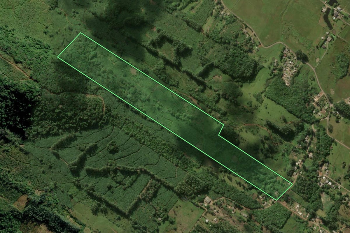 Imagem de satélite do imóvel rural em Terra de Areia (RS), com o contorno declarado no CAR desenhado por cima.