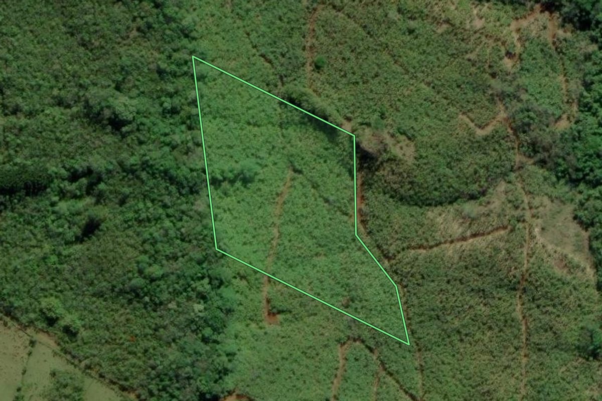Imagem de satélite do imóvel rural em Terra de Areia (RS), com o contorno declarado no CAR desenhado por cima.